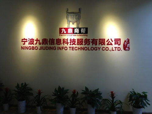 宁波九鼎信息科技服务 引领科技技术服务新浪潮